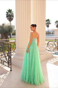 Elicia TY300 Formal Dress