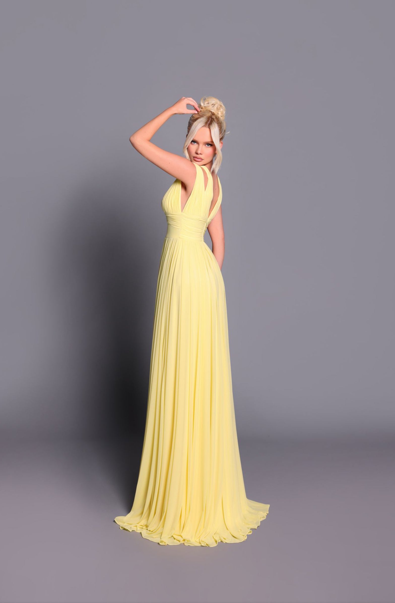 NBM2009 Bridesmaid/Special Occasion Dress