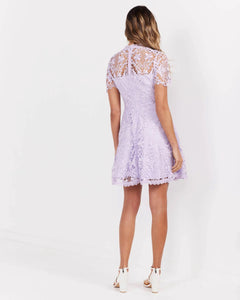Elara Lace Dress - Purple by Twosisters The Label Cocktail Dress