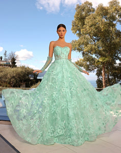 NC2039 Formal Dress