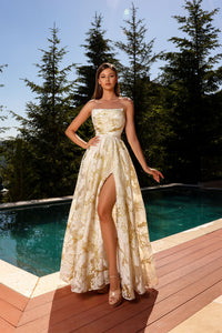 NC2097 Formal Dress